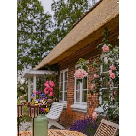 Appelhus Modern Retreat *